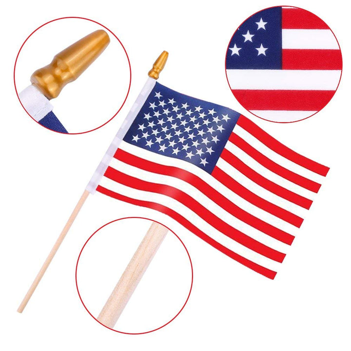 Kid holding USA flag
